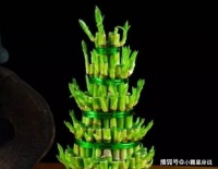 心理测试：凭直觉选一盘富贵竹？测出你年底会不会大捞一笔？