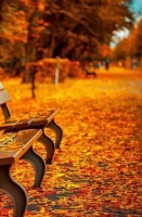 「若木诗词」七律 秋兴