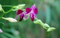 有大格局的人，不会忽视人际“弱关系”