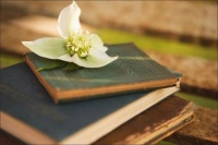 2020年书单 | 这3本书，让我放下了离不开的手机