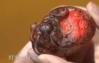 大爷带“怪兽”鉴定，专家用灯一照，不禁欢呼：这玩意可以救命！