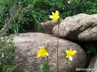 明证法师开示：六七识因上转，五八识果上转