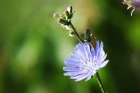 什么是幸福？这就是最好的回答！