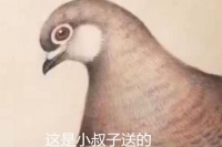 小叔子送嫂子画称50万，嫂子拿来鉴宝，专家：心脏没啥事吧！