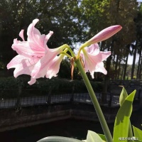 《杜少府之任蜀州》情景默写专练（含答案）