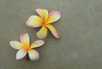 人过五十，不能欠以下五种债，无债一身轻