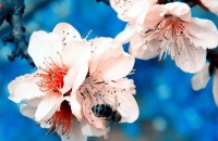 俗语：手不端碗穷一世，抖腿耸肩霉三代，相信你身边就有这样的人