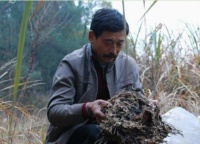 俗语：“好男不吃分家饭，好女不穿嫁时衣”,啥意思？你符合吗？