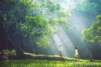 往事不回头，未来不将就！