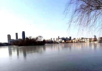 岁寒吐花蕾，傲骨雪中艳（诗六首）