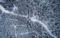 茶语大师茶空间：那些藏在城市茶空间里的温暖力量