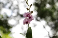 罗西：那些照亮错误的善良，特别温暖｜名家阅读