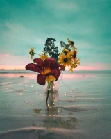 你真的得碰上那个你能降得住又能降得住你的人，才算是适合