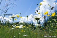 人生有三顺：心顺、言顺和事顺