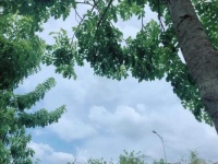 最好的生活状态：将日子过成自己喜欢的样子