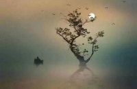 古训：早起三光，晚起三慌，啥意思！