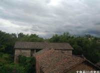 农村俗语“家中出现三喜, 好事接踵而至”, 说的是哪三喜