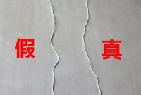 于中华 | 真假难辨