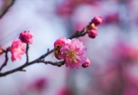 人在世间走，何必处处计较；一辈子就图个无愧于心，自在悠然