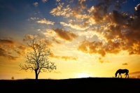 这则60年前的童话，能解决人生99%的困惑