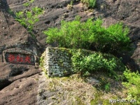 肉桂茶与大红袍哪个好？二者有什么区别？