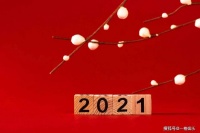 大胆谈钱，努力赚钱，才是一个成年人最大的体面