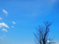 「专栏」任平生作品赏析：《幽人独行》（仄起平收中华通韵）