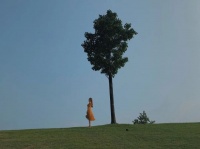 三大人生减法公式