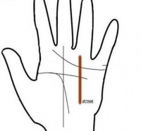 手掌拥有此线的人，可白手起家，成就一番大事业！