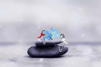 你自律的程度，决定了人生的高度