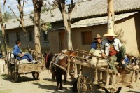 俗语：近搬穷三天，远搬穷三年，老祖宗的智慧之言，现在依然适用