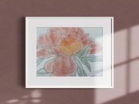 外柔内刚的花中之王“洛阳牡丹”