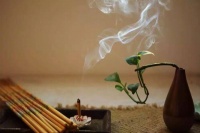 千年禅宗文化原来一直在探究这个！