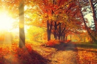 熊鹰：井底之情（组诗）｜中原诗人