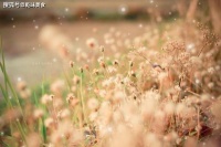 增广贤文五：想要规劝别人，说话要先有分量