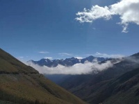 今宵，何处寄存春日的情柔