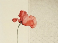 《绯色》 第二章