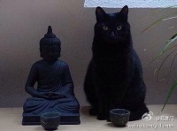 也有无法抵抗诱惑的时候