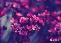 缘分，半点不由人，命中有注定