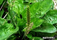 《茅屋为秋风所破歌》情景默写专练（含答案）