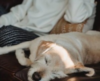 低质量的社交不如高质量的独处