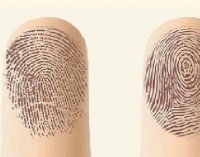 俗语“一螺穷，二螺富，三螺四螺搞不住”啥意思？你有几个螺？