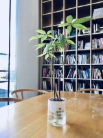 “人到中年才懂，金钱，是人生最大的依靠”，和你聊聊钱的事