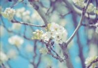 心理：或许“杠精”只是一种行为，并不是真正的内心