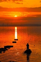 临江仙•柳映清溪投晚照