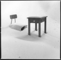 一万粒雪，落入我心口的只是其中一粒