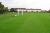 桃花眼跟放了光似得，和平日里见到豆蔻之华的女子一般