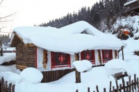 说的人无心插柳，听的人栽柳成荫