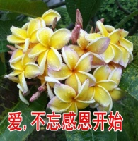 爱，从吸引欣赏开始，在感恩中度过，才会有心里的幸福