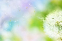 聪明人，一辈子三不问